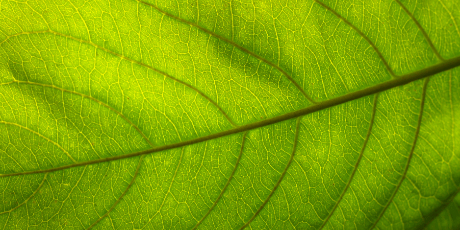 Sustentabilidad 3 Mask group 6 1